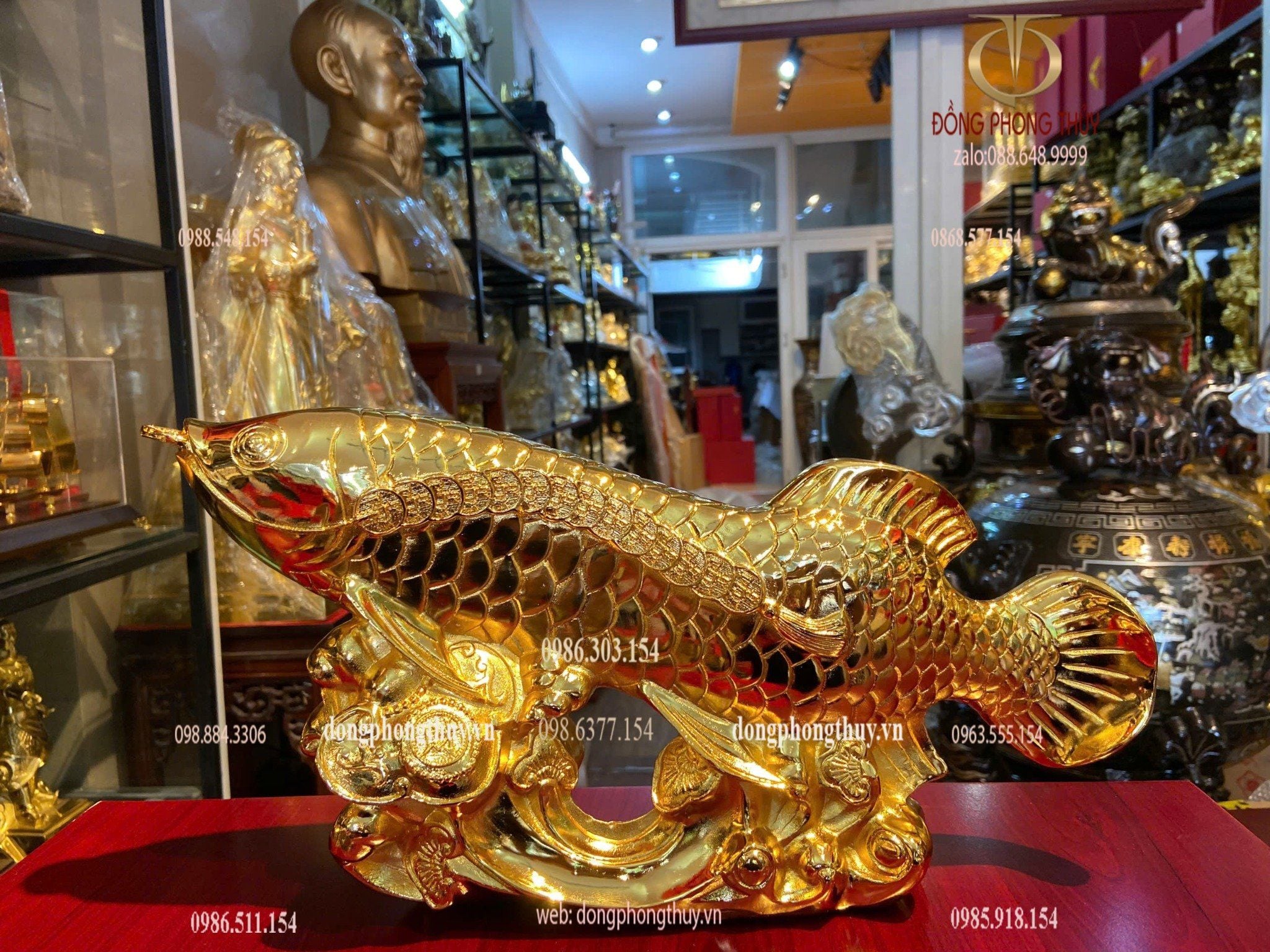 Cá rồng mạ vàng 24k