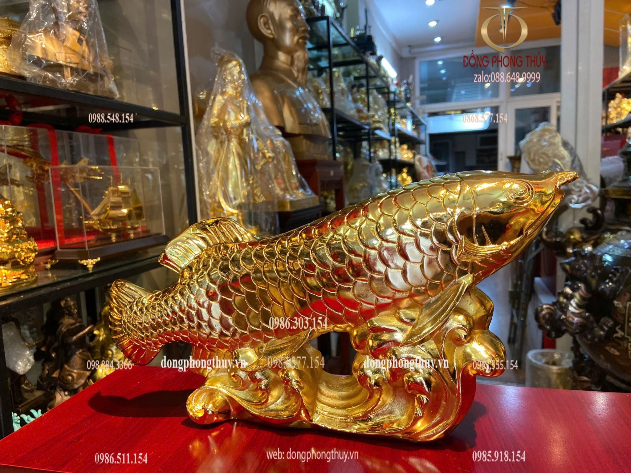 Cá rồng mạ vàng 24k