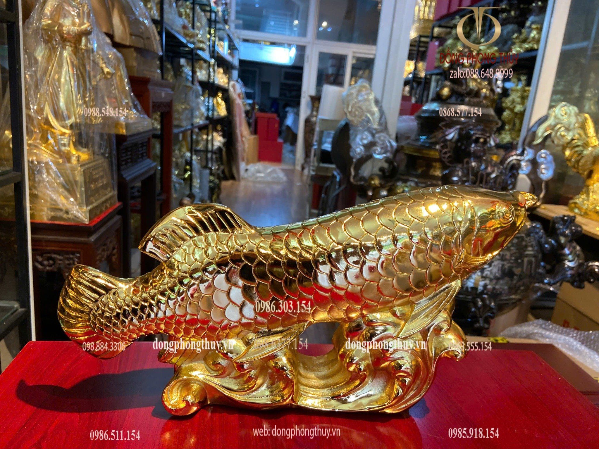 Cá rồng mạ vàng 24k