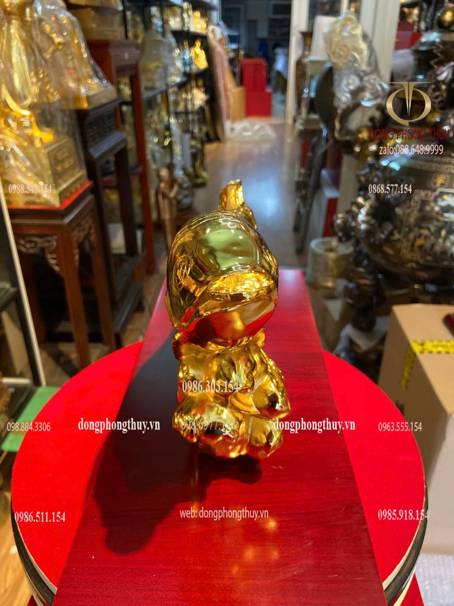 Cá rồng mạ vàng 24k