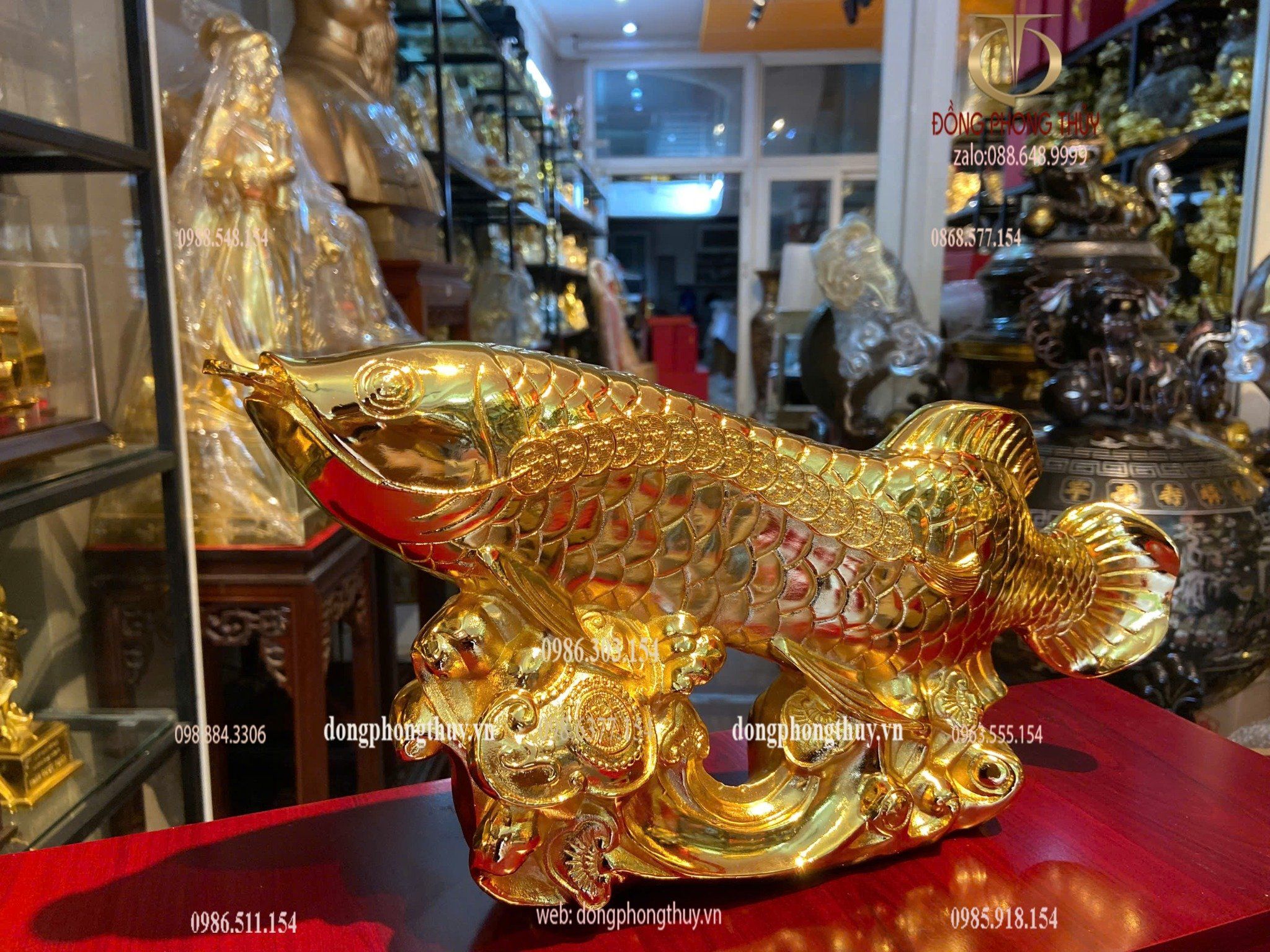 Cá rồng mạ vàng 24k