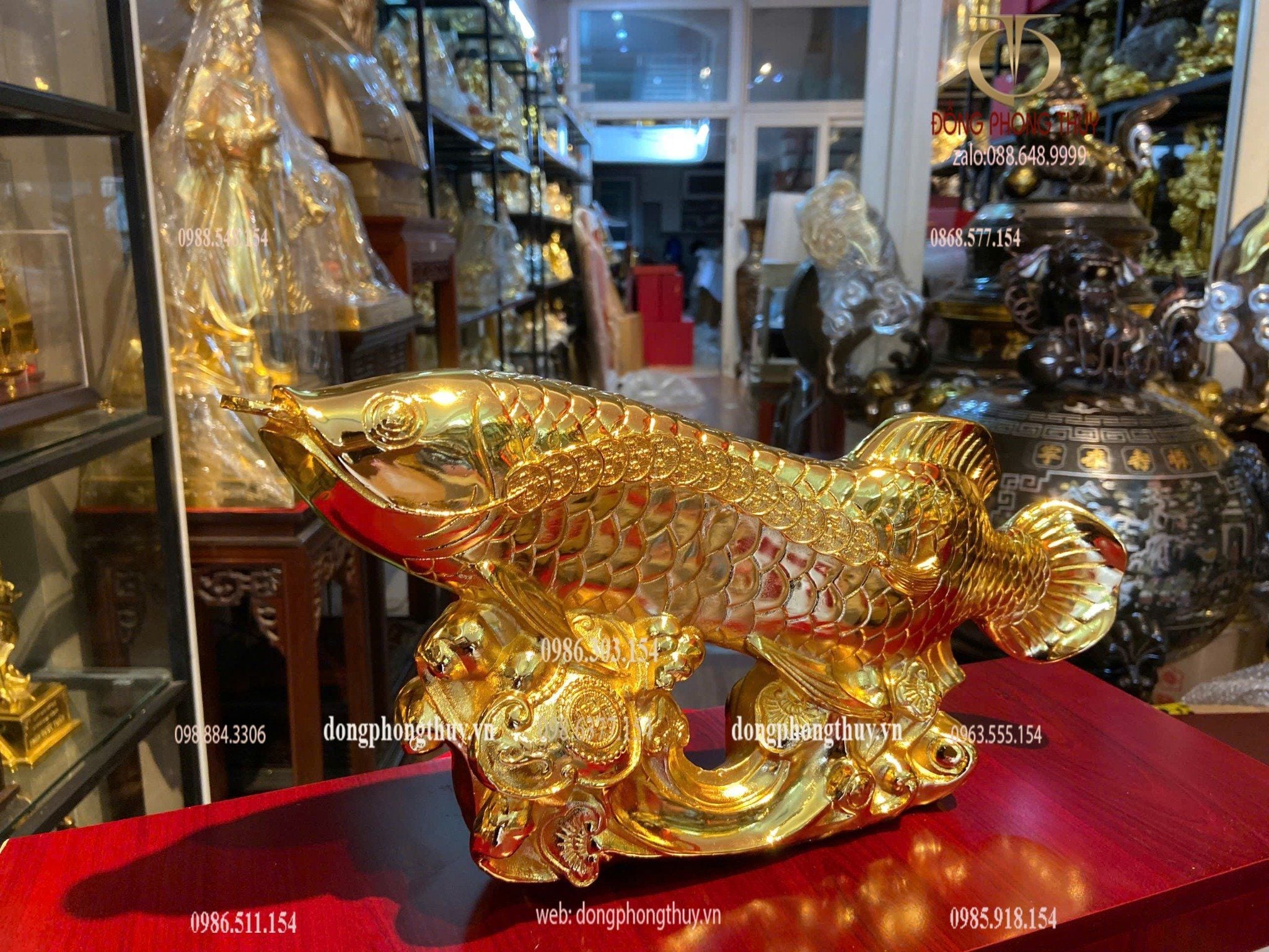 Cá rồng mạ vàng 24k