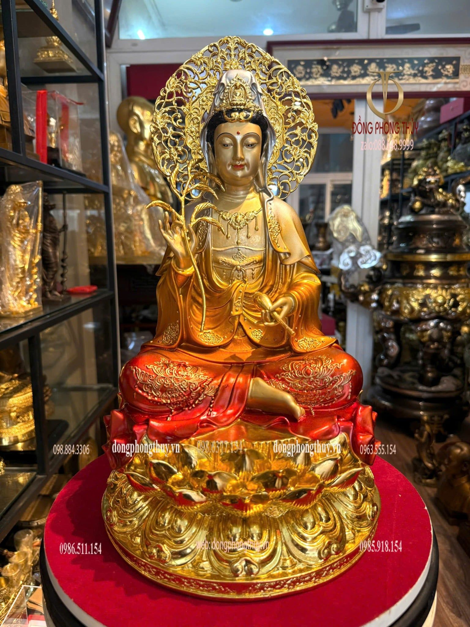 Hình ảnh sản phẩm