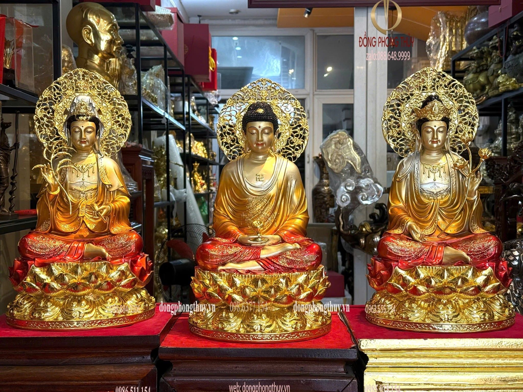 Hình ảnh sản phẩm