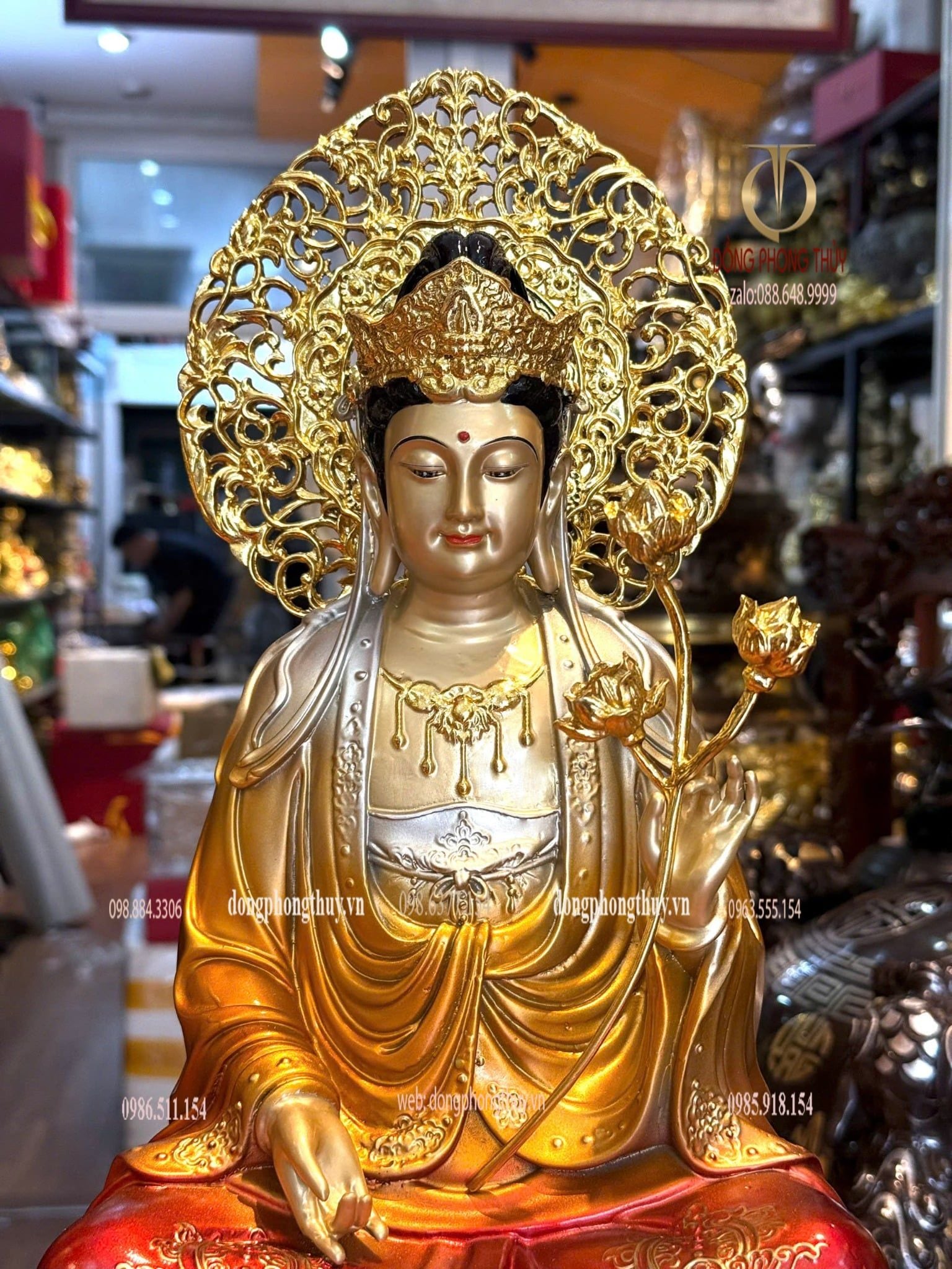 Hình ảnh sản phẩm