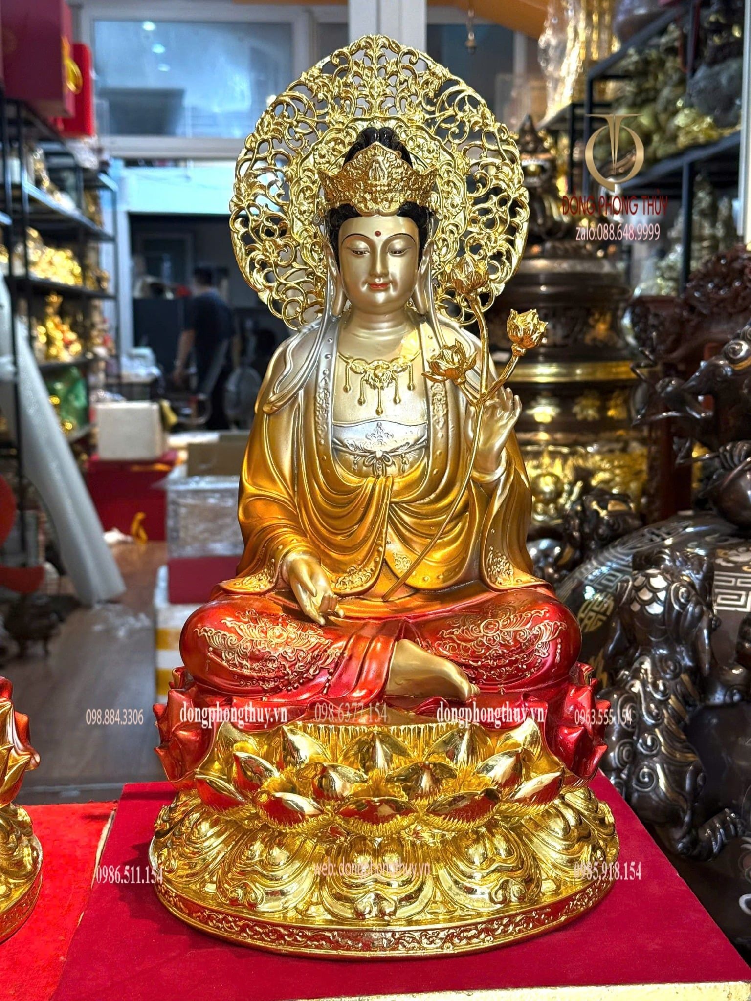 Hình ảnh sản phẩm