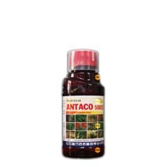 ANTACO 500EC | Trừ cỏ diệt mầm trên cây trồng màu - Chai 450ml