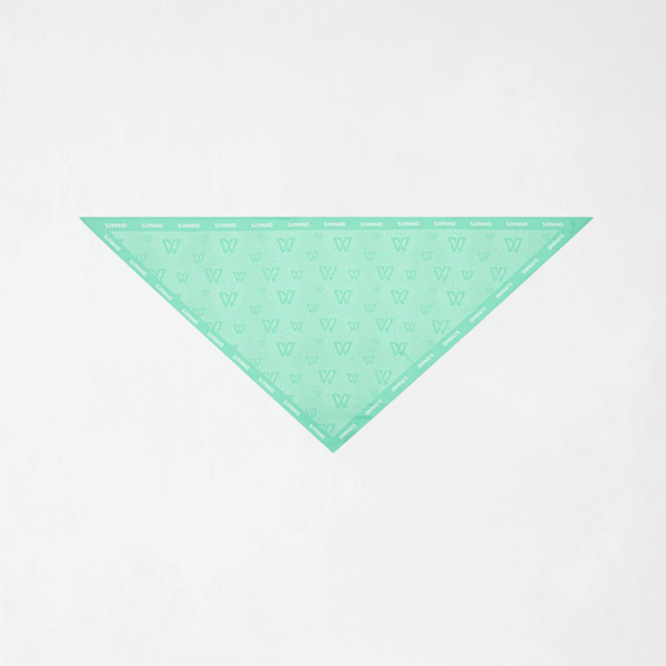 TIFFANY SCARF U5238
