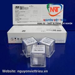 Lamen kính 18x18mm Assitent