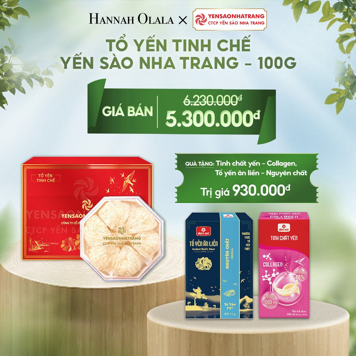 T47_DEAL 08: TỔ YẾN TINH CHẾ YSNT - 100G