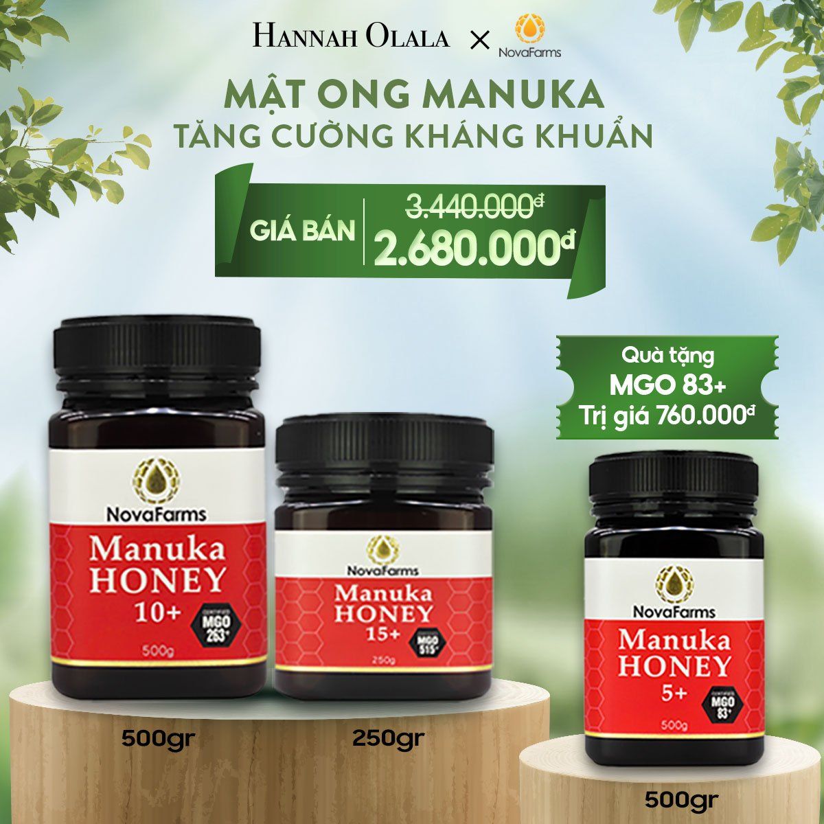 T10_DEAL 2: BỘ ĐÔI MẬT ONG MANUKA NOVAFARM- TĂNG CƯỜNG KHÁNG KHUẨN