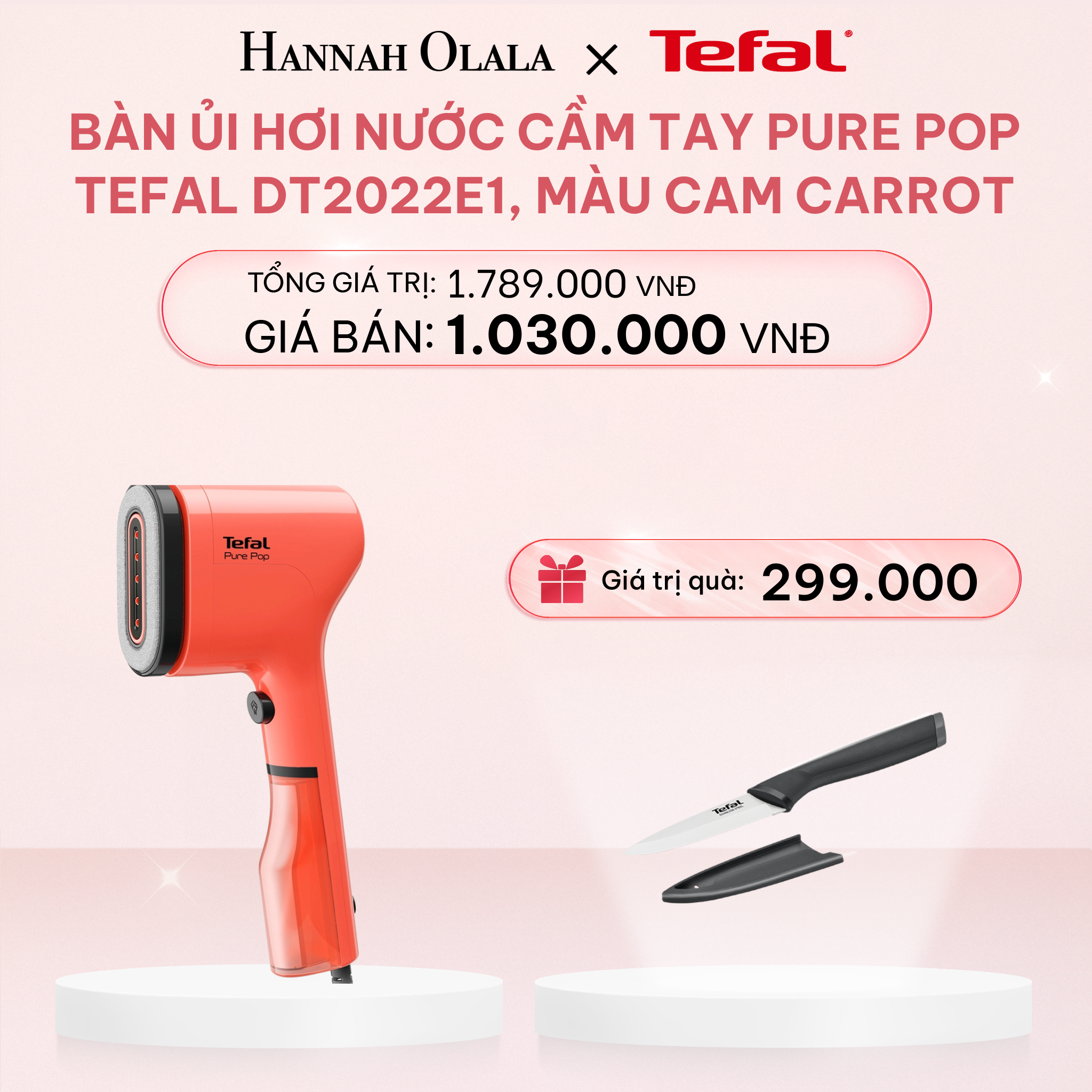 E71_DEAL 4: BÀN ỦI HƠI NƯỚC CẦM TAY PURE POP TEFAL DT2020E1