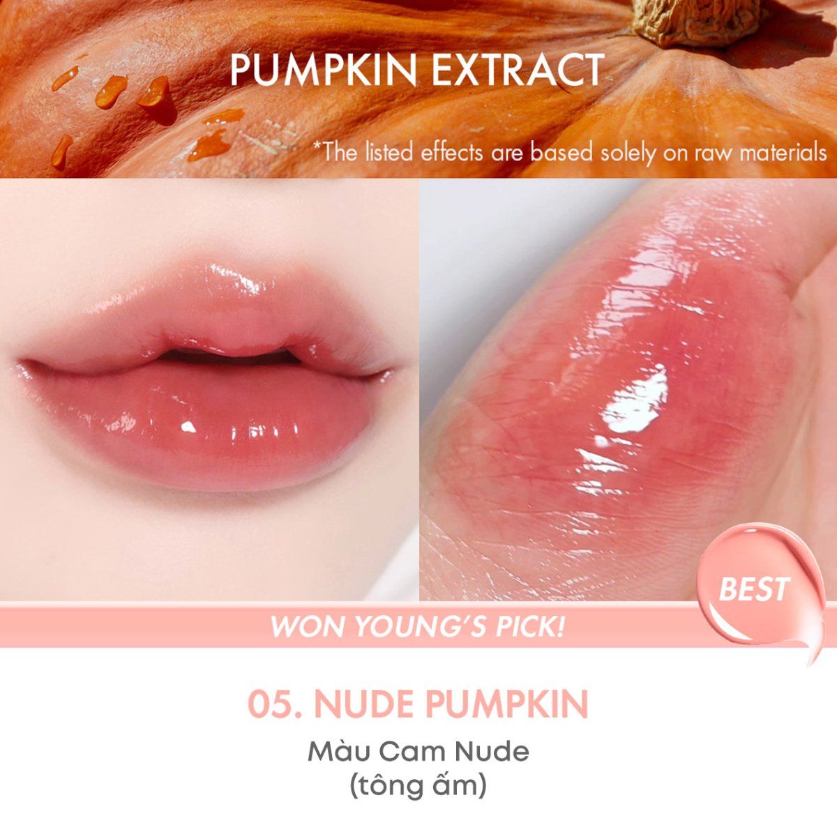 E556_DEAL 1: SON DƯỠNG BÓNG THUẦN CHAY AMUSE BEBE TINT 3.8G