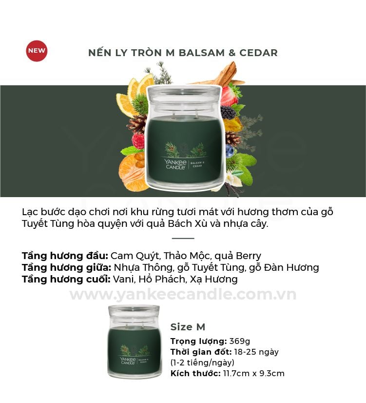 DEAL 5: MUA NẾN LY TRÒN SÁP ĐẬU NÀNH SIZE M (CHỌN THÊM MÙI NOTE TRONG GHI CHÚ)