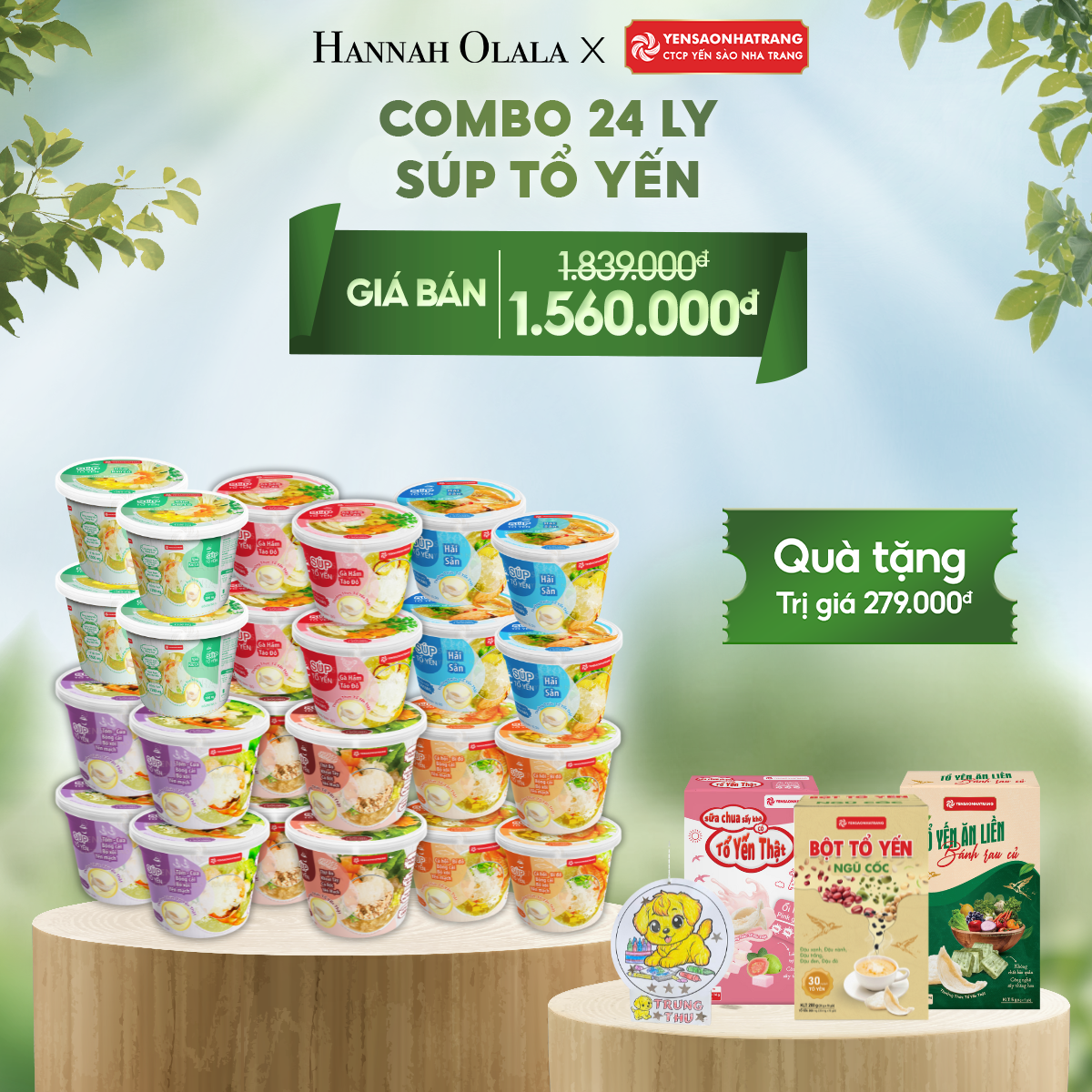 E72_DEAL 7: COMBO 24 LY SÚP TỔ YẾN