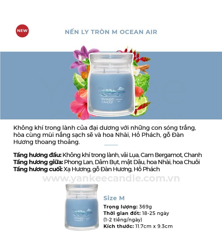 E543_DEAL 5: MUA NẾN LY TRÒN SÁP ĐẬU NÀNH SIZE M GIÁ 999.000Đ MUA 1 TẶNG 1