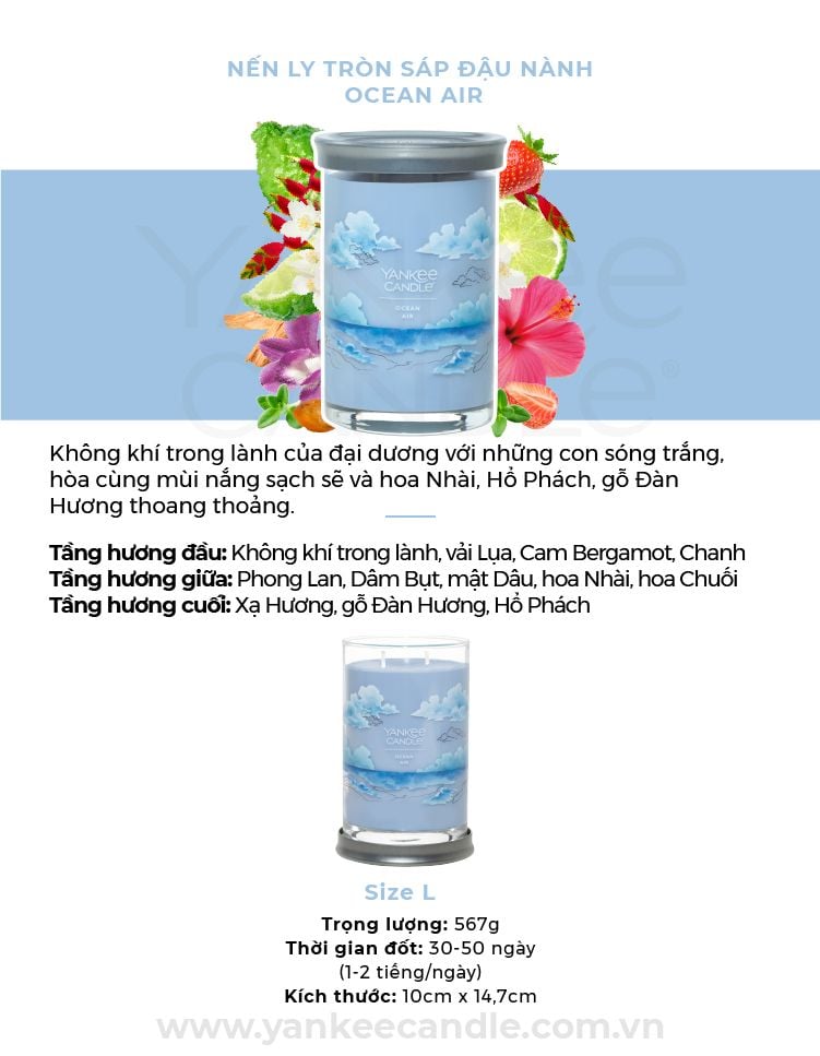 DEAL 4: MUA ĐÈN ĐỐT NẾN HẸN GIỜ 4HOME VÀ NẾN LY TRÒN SÁP ĐẬU NÀNH YANKEE CANDLE SIZE L