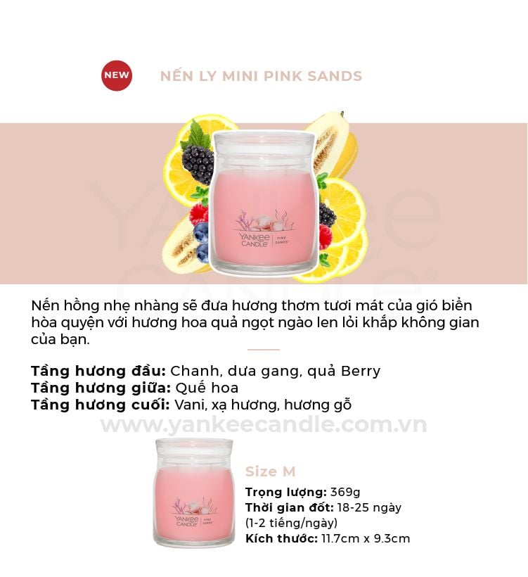 DEAL 5: MUA NẾN LY TRÒN SÁP ĐẬU NÀNH SIZE M (CHỌN THÊM MÙI NOTE TRONG GHI CHÚ)