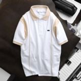 POLO CÁ SẤU PHỐI