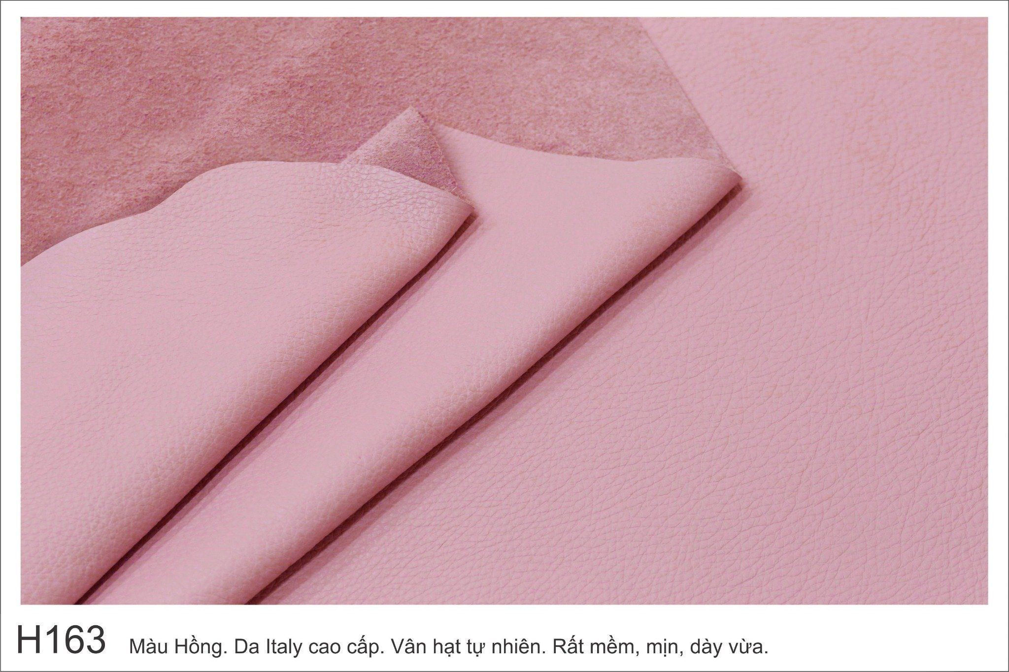 Màu Hồng-H163