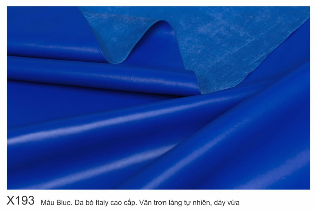 Màu Blue-X193