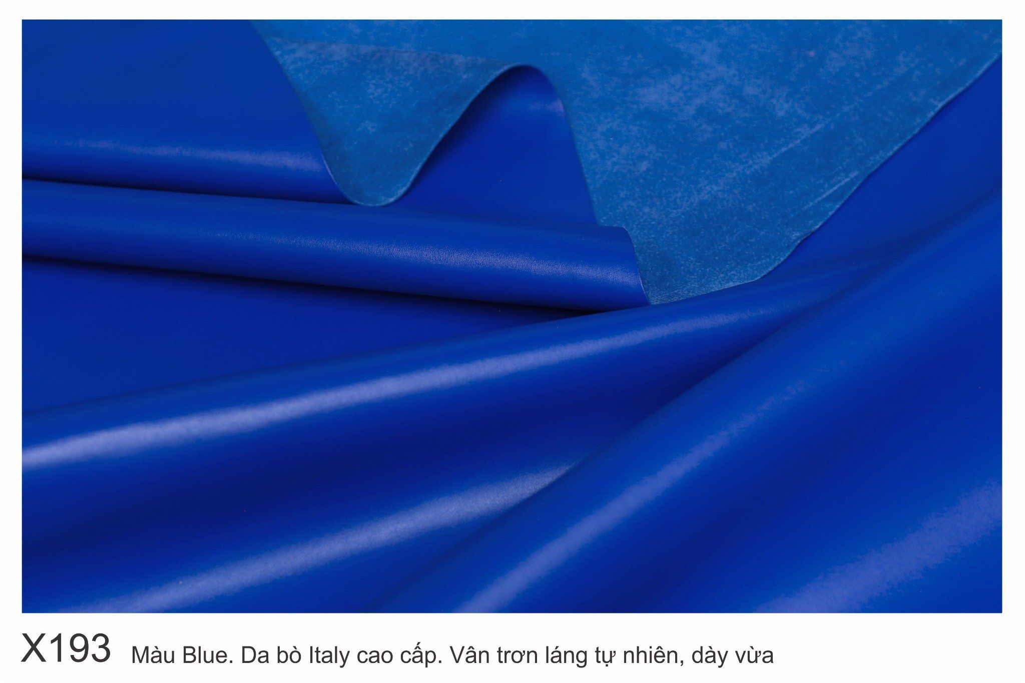 Màu Blue-X193