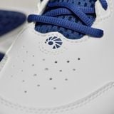 Giày cầu lông Nam Li-Ning ALMIGHTY AYTV029-1