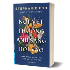 Nơi Vết Thương Ánh Sáng Rọi Vào