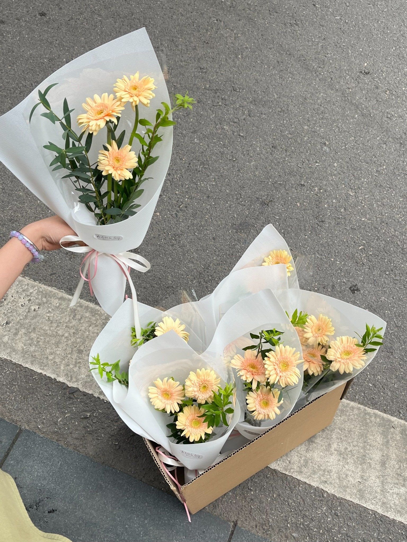 Bó Hoa Đồng Tiền Baby – Nhỏ Nhắn Mà Ý Nghĩa