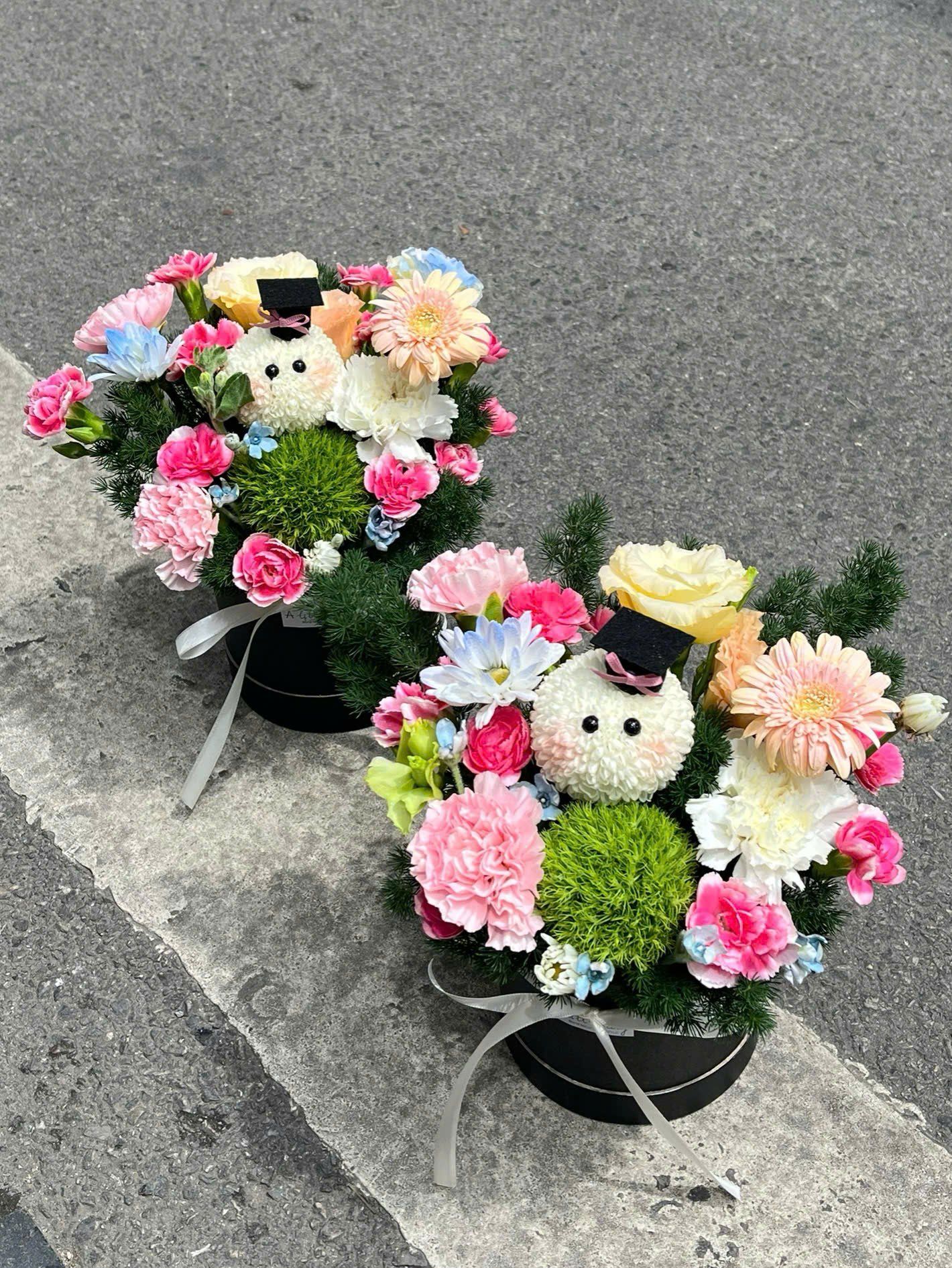 Box Bé Gấu Mũ Cử Nhân 🎓🌼