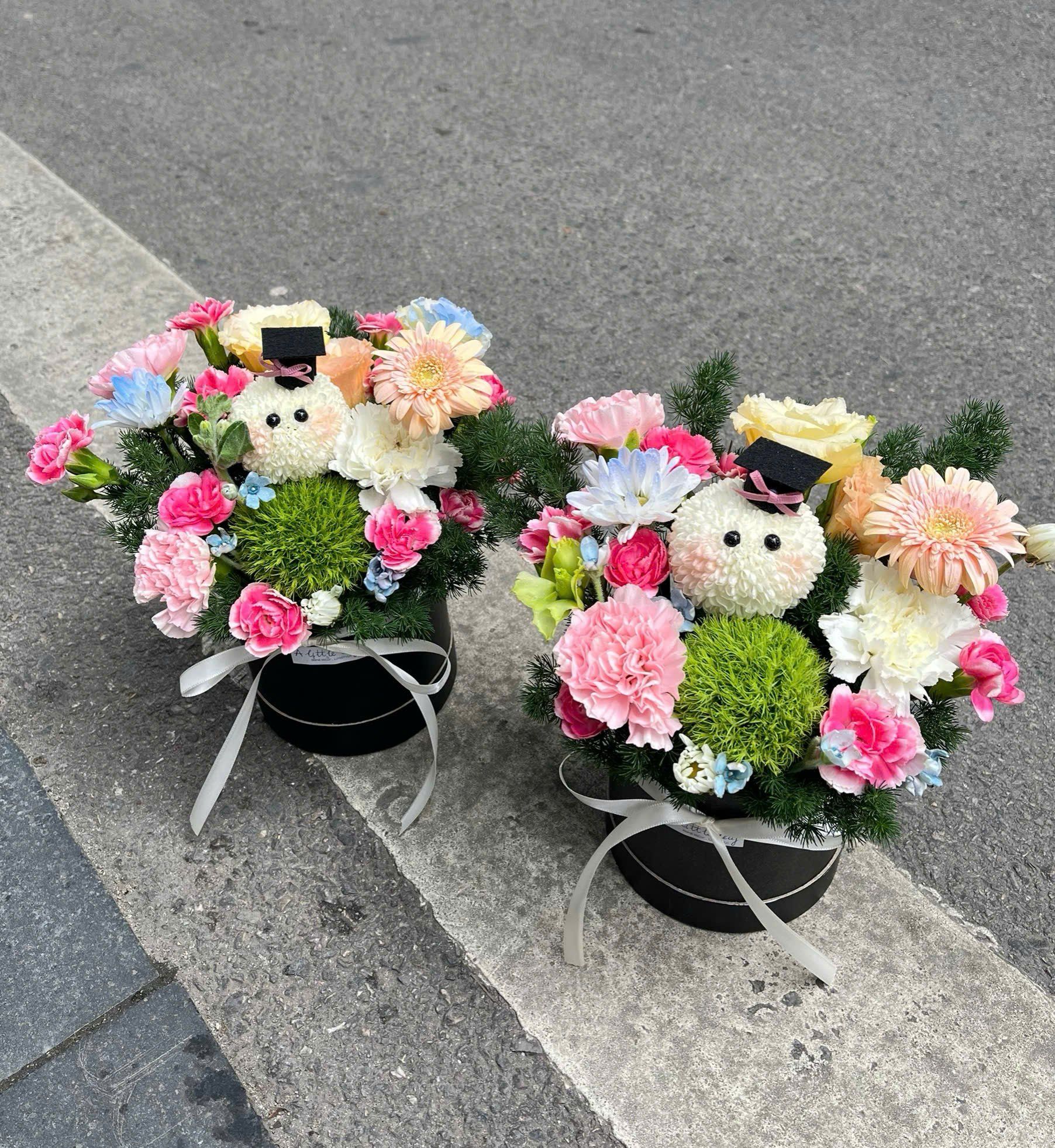 Box Bé Gấu Mũ Cử Nhân 🎓🌼