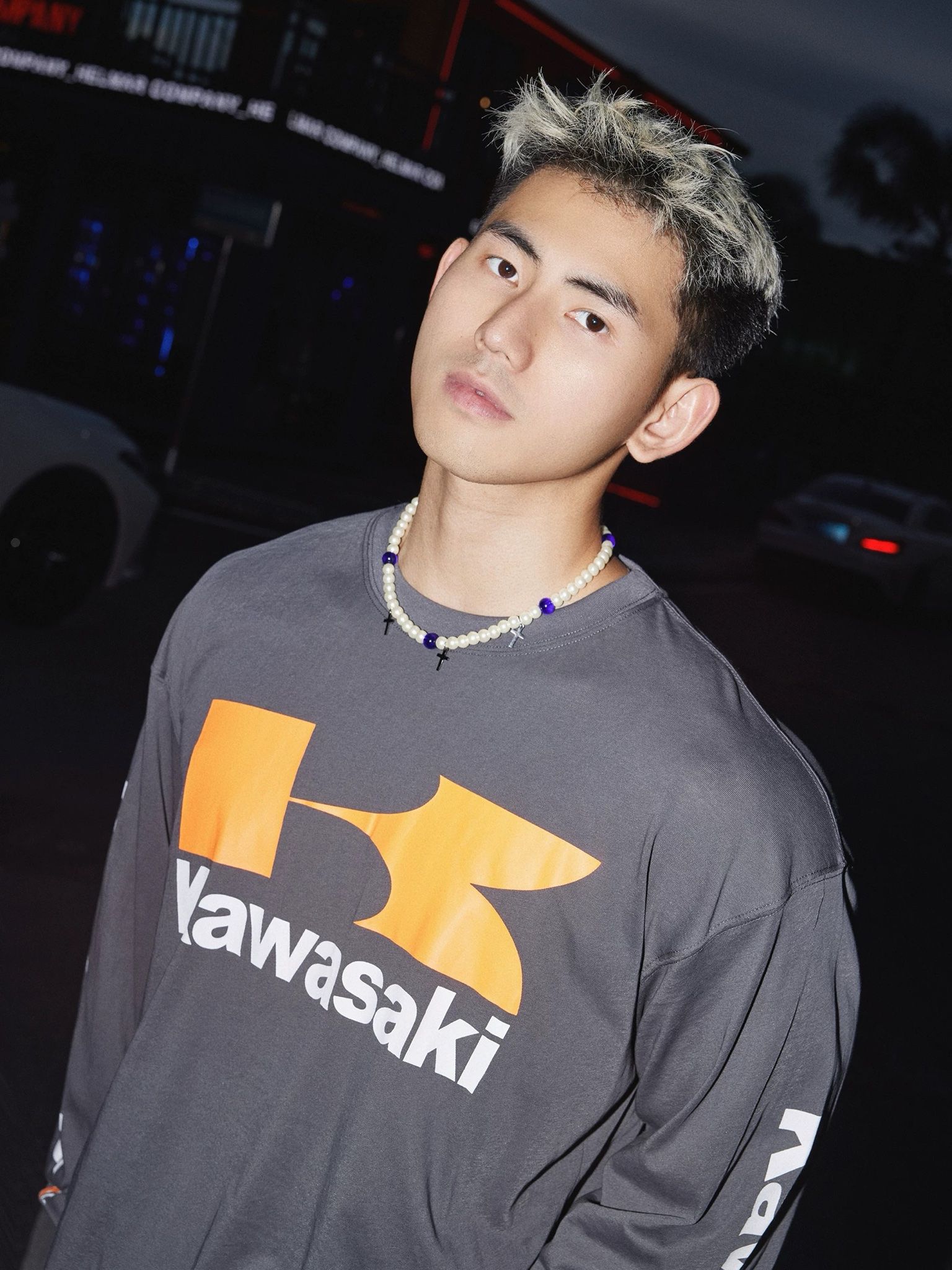 SWEATSHIRT 1260 GREY
