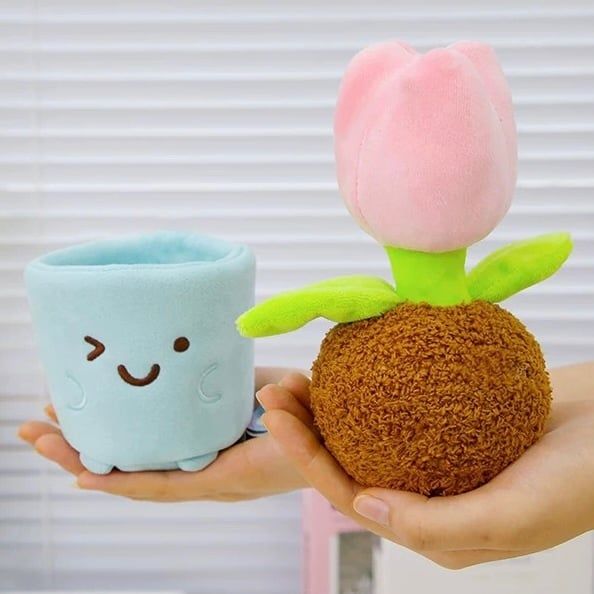 Chậu cây bông mini