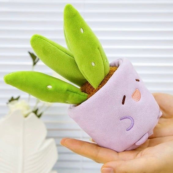 Chậu cây bông mini