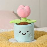 Chậu cây bông mini