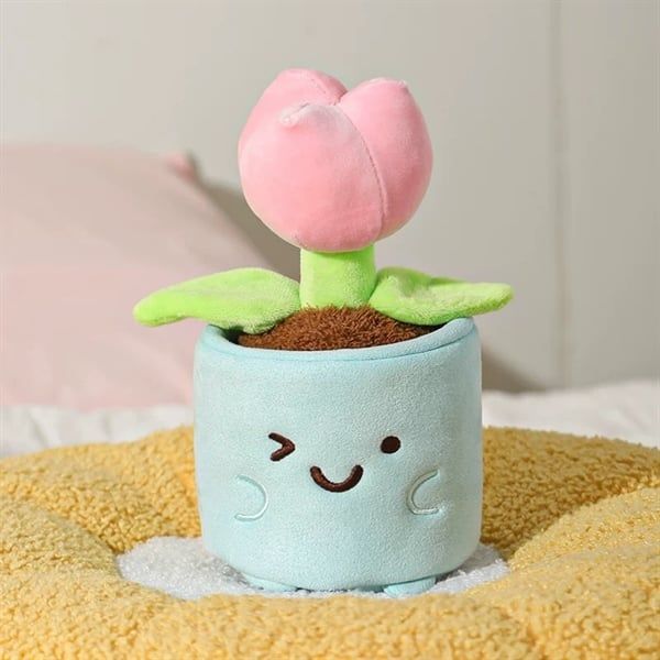Chậu cây bông mini