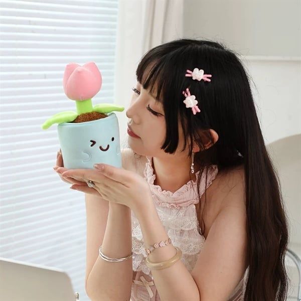 Chậu cây bông mini