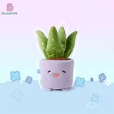 Chậu cây bông mini
