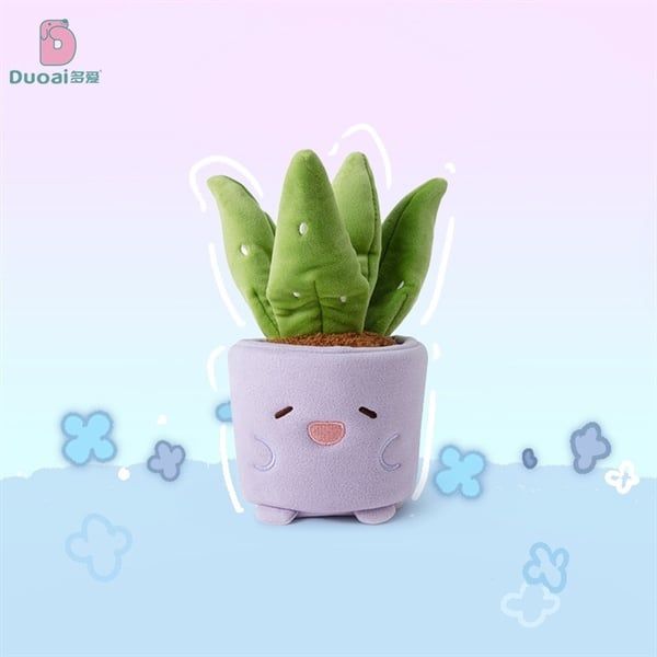 Chậu cây bông mini