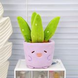 Chậu cây bông mini