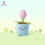 Chậu cây bông mini