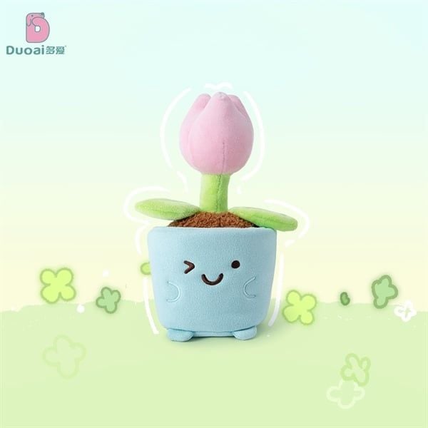 Chậu cây bông mini