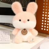 Gấu bông mini vòng cổ 15cm