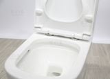 Bàn cầu liền khối Tkm-134f