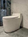 Bồn cầu liền khối Tkm-106