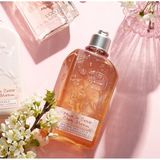 Sữa Tắm L'Occitane Cherry Blossom Bath & Shower Gel 500ml