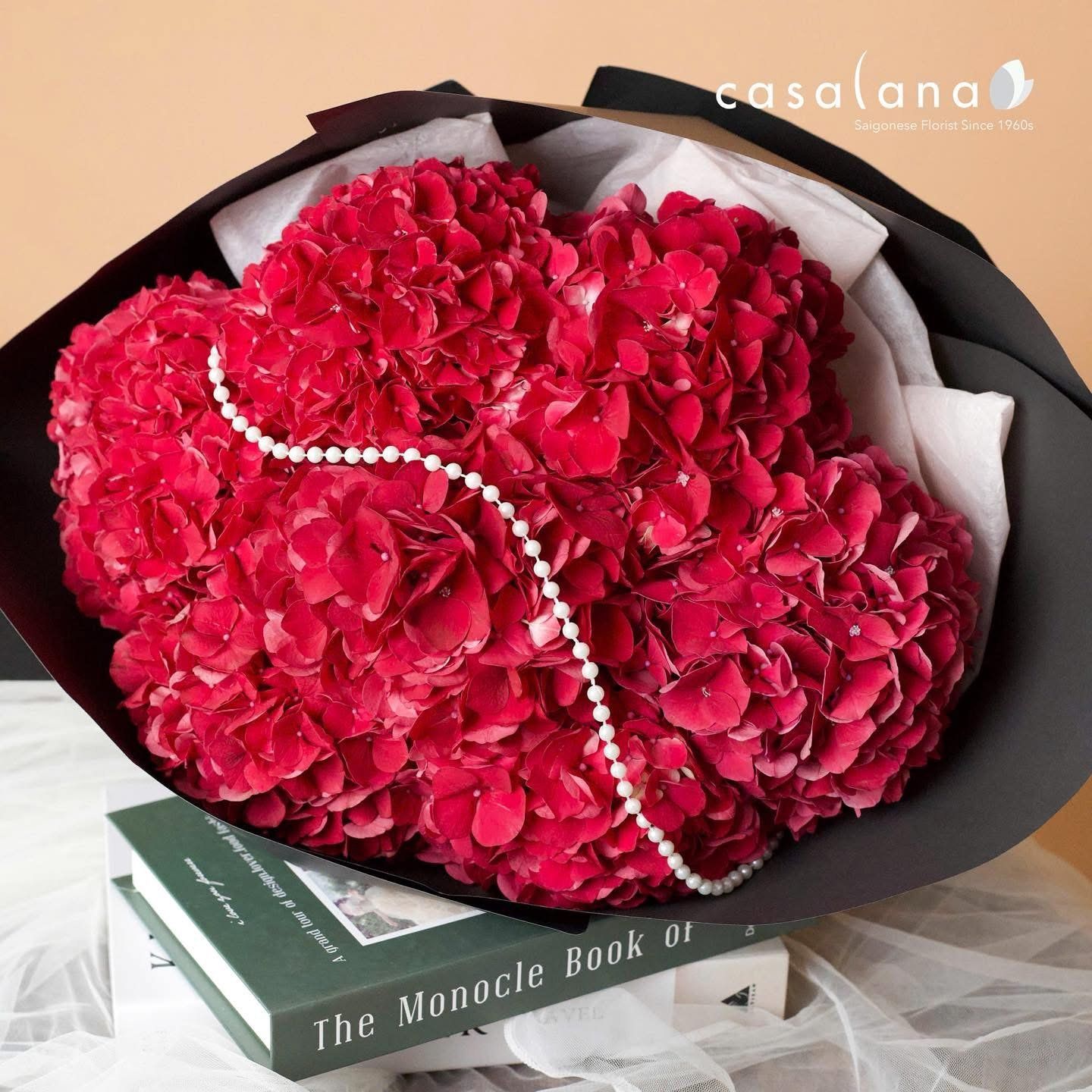 Hydrangea Ruby Red 7