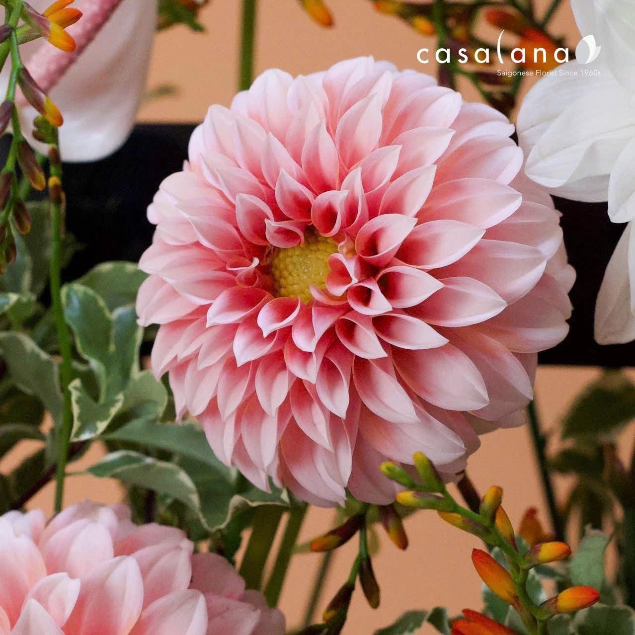 The Bloom Bottles_ Creamy Dahlia