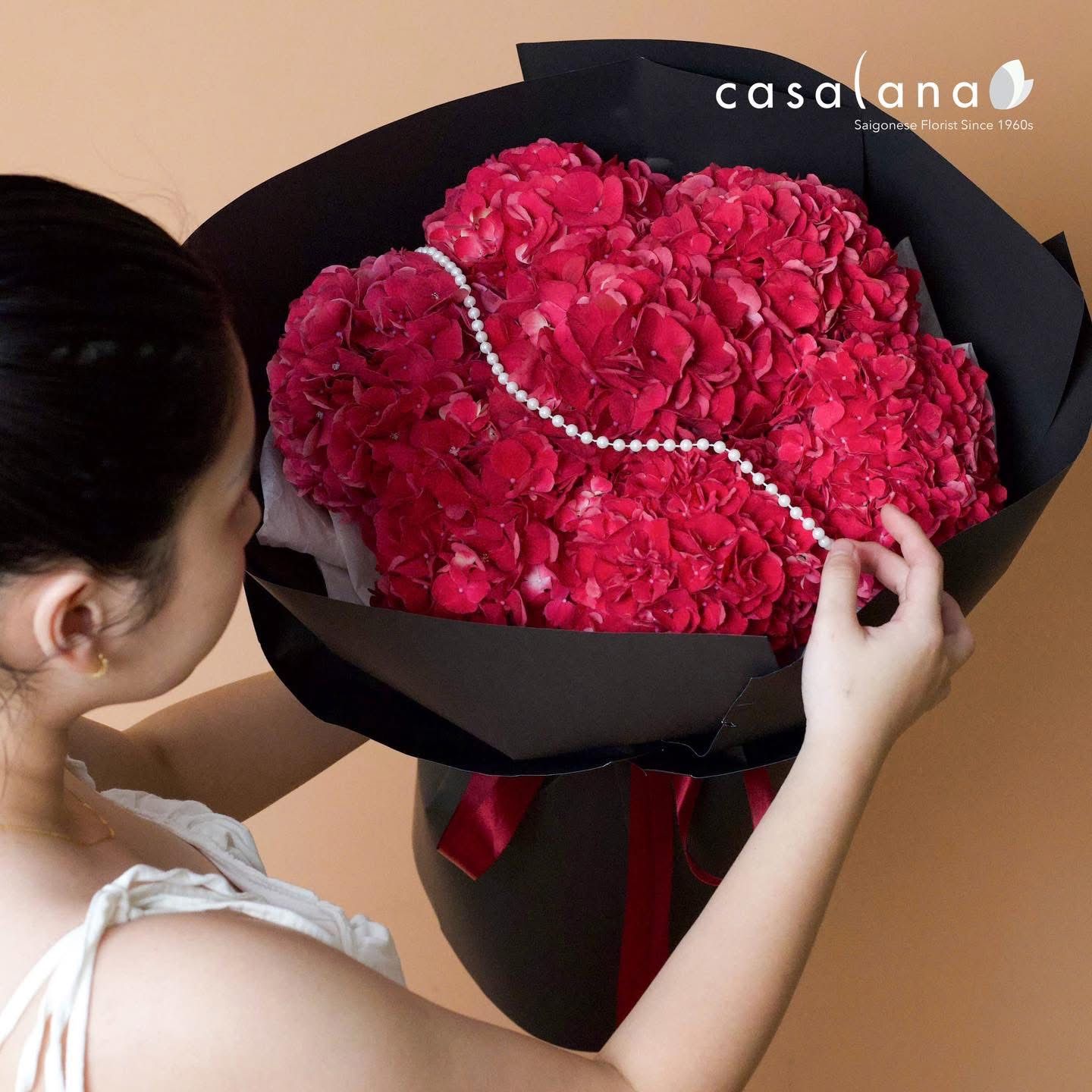 Hydrangea Ruby Red 7