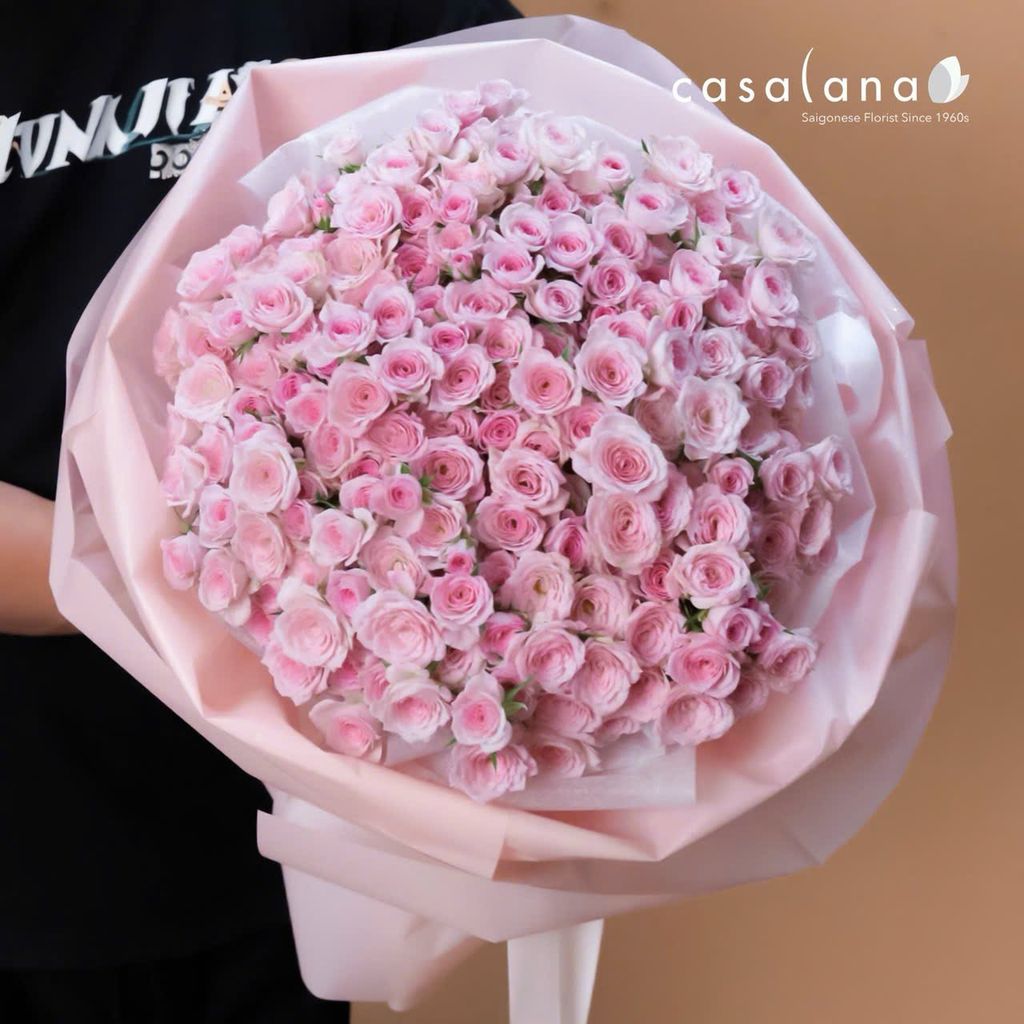 Blushing Petals